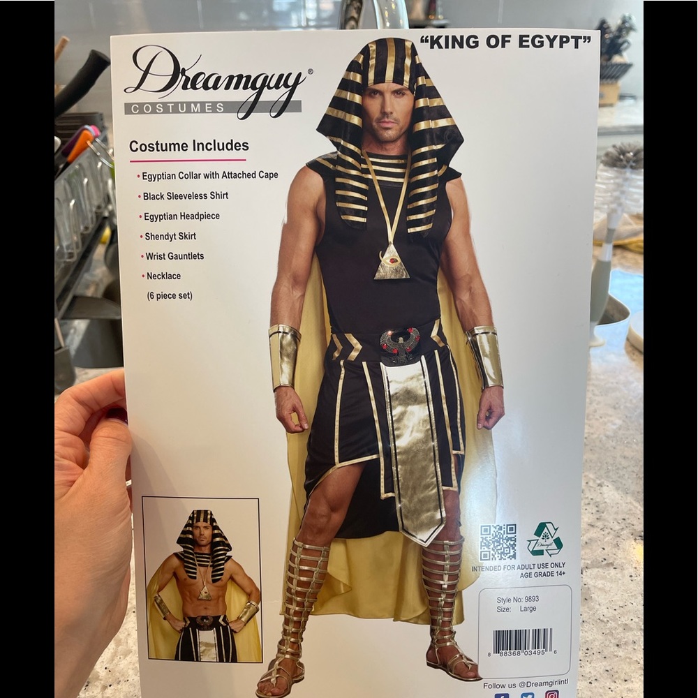 King Of Egypt Costume